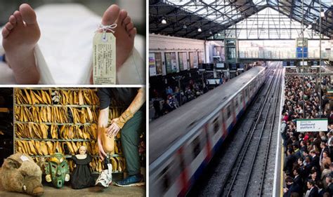 london tfl s lost and property reveal thousands weird and wonderful items found on tube uk