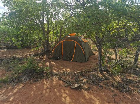 Bush Camping