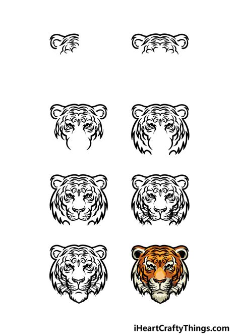 Tiger Face Drawing How To Draw A Tiger Face Step By Step