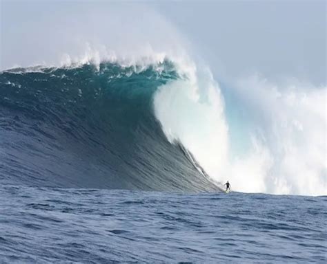 Cortes Bank The Largest Wave On The Planet Dr Abalone