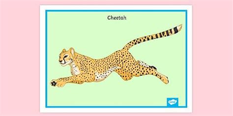 Free Pouncing Cheetah Poster Primary Education Resources