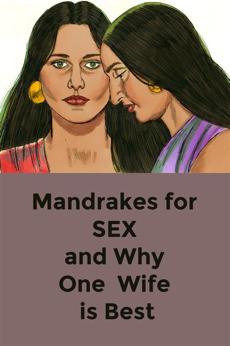 Mandrakes For Sex And Why One Wife Is Best My Windowsill