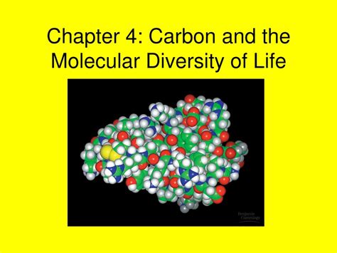 Ppt Chapter Carbon And The Molecular Diversity Of Life Powerpoint