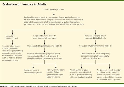Pdf Evaluation Of Jaundice In Adults Semantic Scholar