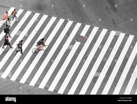 Shibuya Crossing Crossroads Pedestrians And Cyclists Cross Zebra