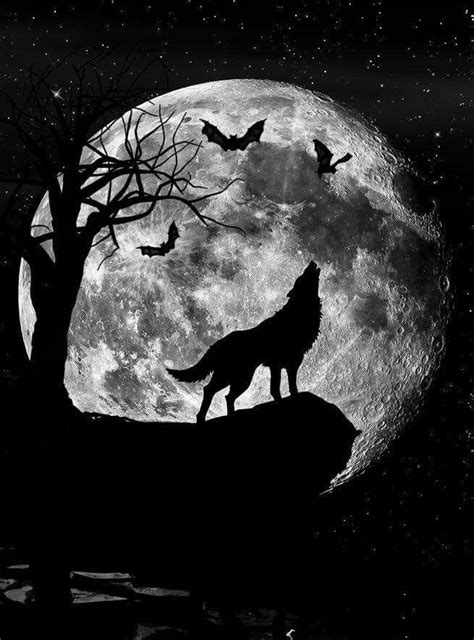 We call the wolves as gray wolf or grey wolf. Howling at the moon | Wolf howling, Wolf painting, Wolf ...