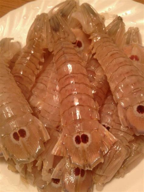 Oggi facciamo le canocchie freschissime in due modi differenti: Canocchie al forno