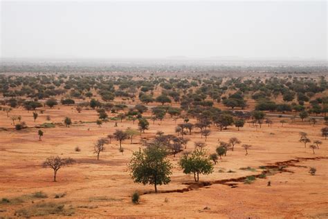 Landscape Of Sahel Africa Photo By Daniel Tiveau For Cifor Via Flickr