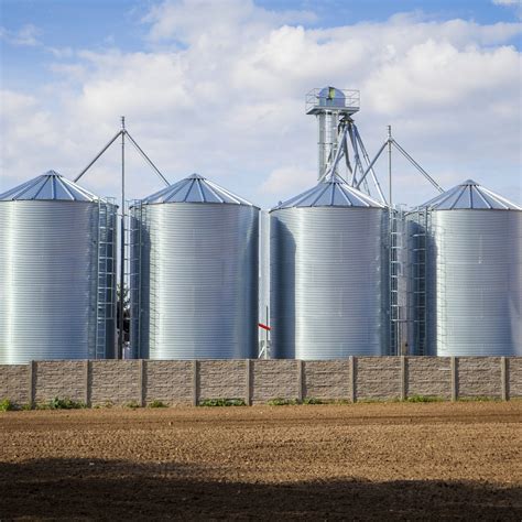 Lista 93 Foto Que Es El Silo De Maiz Cena Hermosa