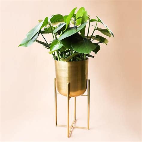 Use your imagination to make the most beautiful bungalow. Guld Floor Planter | Planters, Small house plants, Flooring