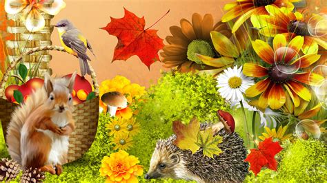 40 Autumn Flower Pictures For Wallpaper On Wallpapersafari