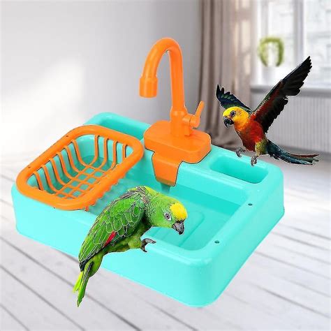 Parrot Paddling Pool Bird Bath Tub With Parrots Bathtub Shower Swimming