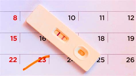 When Do You Take A Pregnancy Test With Irregular Periods Pregnancywalls