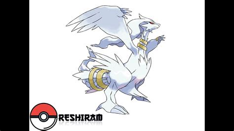 Check spelling or type a new query. All shiny legendary pokemon from unova region. - YouTube
