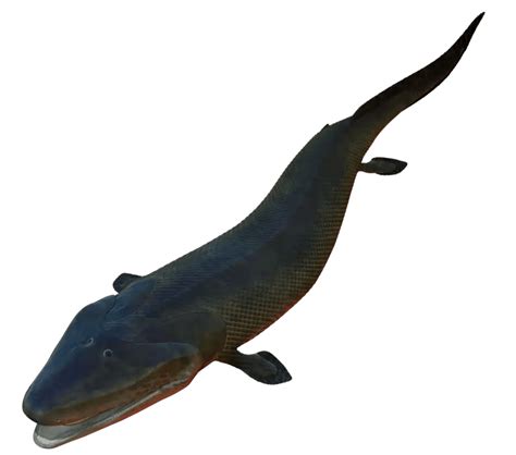 An Ultimate Guide To Tiktaalik The Land Walking Fish