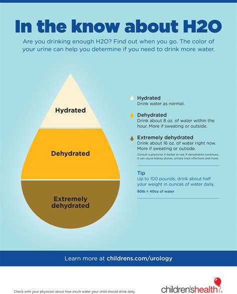 Hydration Tips For Your Childs Health Infographic