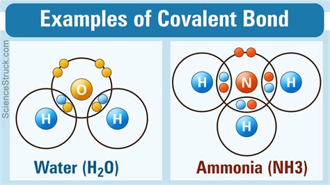 Covalent bonds in which the sharing of the electron pair is unequal, with the electrons spending more time around the more nonmetallic atom, are hydrogen bonding differs from other uses of the word bond since it is a force of attraction between a hydrogen atom in one molecule and a small atom of. Covalent Bond Examples - Science Struck