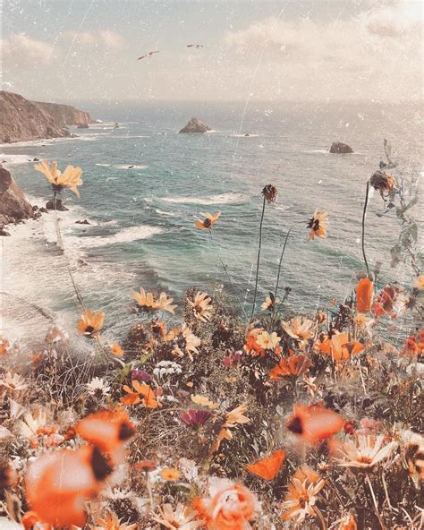Aesthetic Backgrounds Image By Fed Parrera On California Cool In