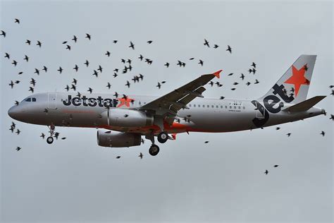 Check spelling or type a new query. Jetstar Fleet Airbus A320-200 Details and Pictures