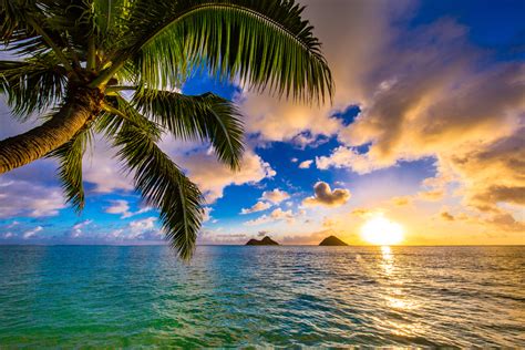 せっかく行くなら抑えておきたい！ハワイの魅力とおすすめの観光スポット ハワイフォトウェディングでおすすめの会社12選！口コミ評判でランキング付け！