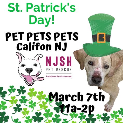 Break groups of colored blocks. NJSH Pet Rescue Events| New Jersey