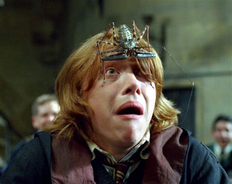 There's a powerful sensawunda in jim dale's reading, which is particularly excellent for the very first two publications. Harry Potter fans asked to 'Follow the Spiders' on Twitter | The Independent
