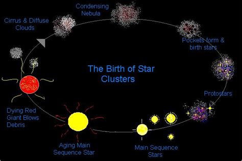 Star Trip 1 Birth To Youth The Holy Connection