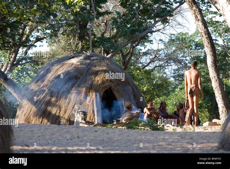Namibia Bushmanland A Group Of Bushman Or San Villagers Outside Their Grass Thatched Shelter