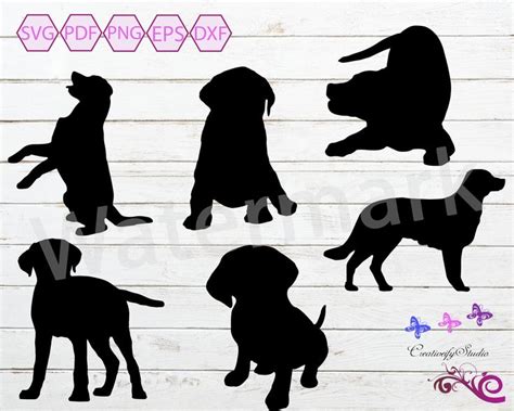 Download Labrador Retriever SVG Silhouette, Pet Lover, Dog Vector ...