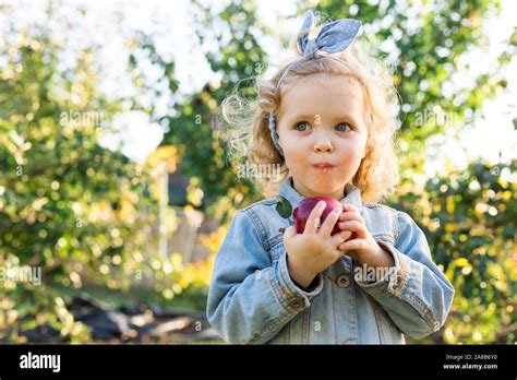Cute Little Girl Child Eating Ripe Organic Red Apple In The Apple