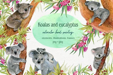 Koala Animals Clipart Illustrationkoala Watercolor Cute Etsy In