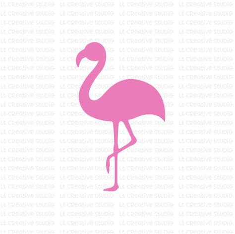 Download Flamingo SVG Flamingo Silhouettet Zoo SVG Animal Svg Beach | Etsy
