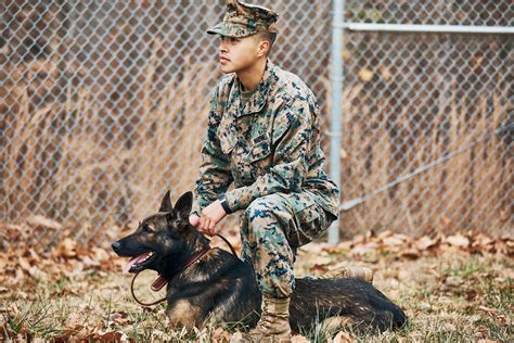 Military Dog Handlers — Todays Military