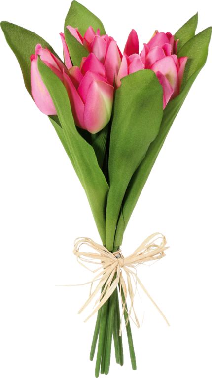 1685814.png (430×768) | Bouquet, Tulip bouquet, Flowers