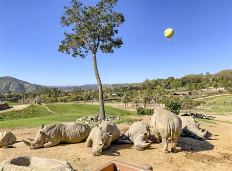 How to Buy Discount San Diego Safari Park Tickets: Top 18 Ways | La