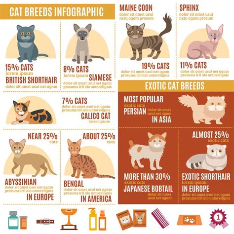 Pin On Cats Breeds