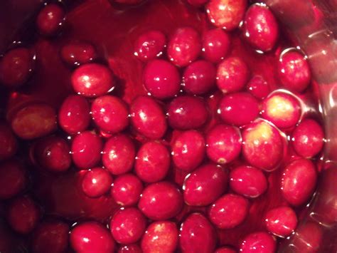 What was life like in north america before europeans arrived? Cranberry Chicken #WeekdaySupper