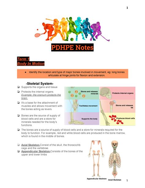 Pdhpe Summary Notes Topics Pdhpe Notes Term Body In