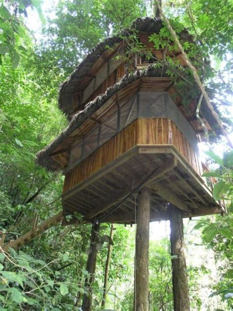 Jadi pada dasarnya wna yang tinggal di indonesia hanya bisa memiliki tanah dan bangunan sebatas hak pakai dan hak sewa. FAIZ RAHMAN :): Rumah Atas Pokok Di Costa Rica
