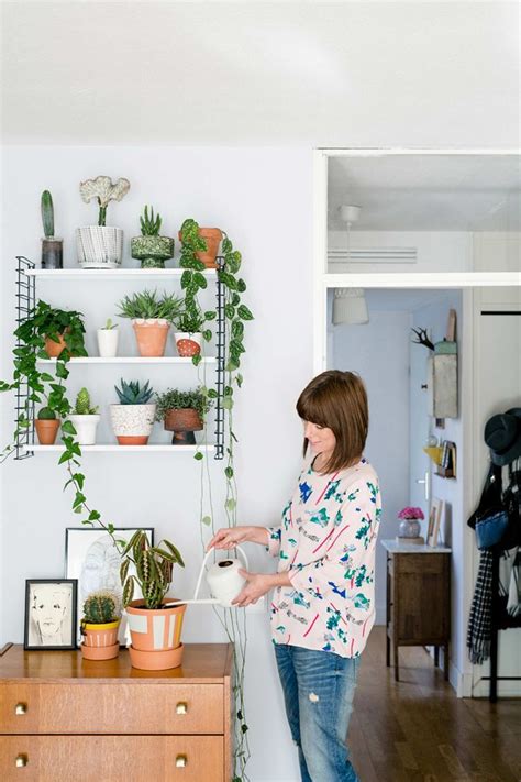 Look back at it (feat. Het grote Urban Jungle boek - Groen leven, Planten en ...