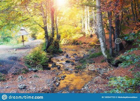 Beautiful Forest With Creek In A Autumn Nature Beauty World Of Fall
