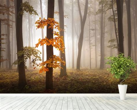 Misty Autumn Forest Wall Mural And Misty Autumn Forest Wallpaper
