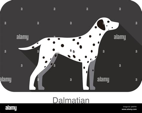 Dalmatian Dog Breed Flat Icon Design Vector Illustration Stock Vector