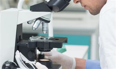 Russia has recorded the world's first cases of humans being infected with the h5n8 strain of bird flu. UK bird flu outbreak confirmed as H5N8 strain | News | The ...