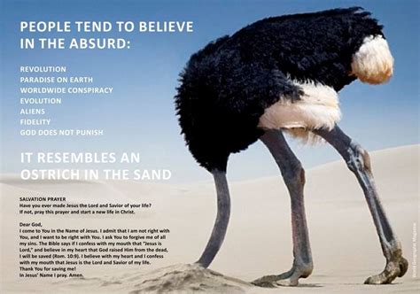 Ostriches Head In The Sand Not Hide This Is A Parable Everything Else In The Picture Is True