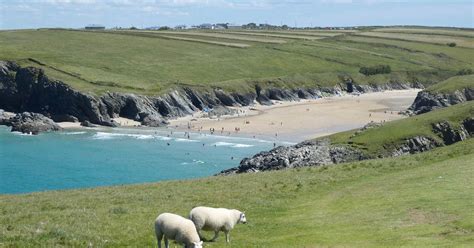 West Pentire Peninsula And Polly Joke Beach Walk Cornwall 10adventures