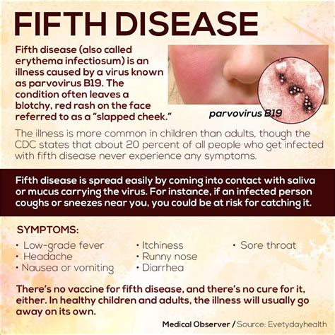 Fifth Disease Most Contagious Before Rash Appears Isolation Is Not