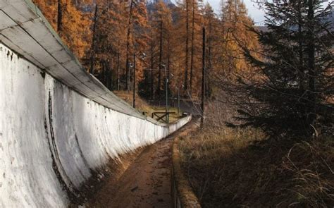 Olimpiadi Invernali 2026 A Cortina Si Stanno Abbattendo 500 Larici