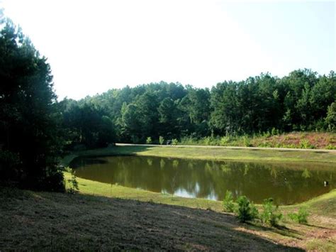 27 Acres With 2 Acre Stocked Lake Land For Sale In Alabama 184668
