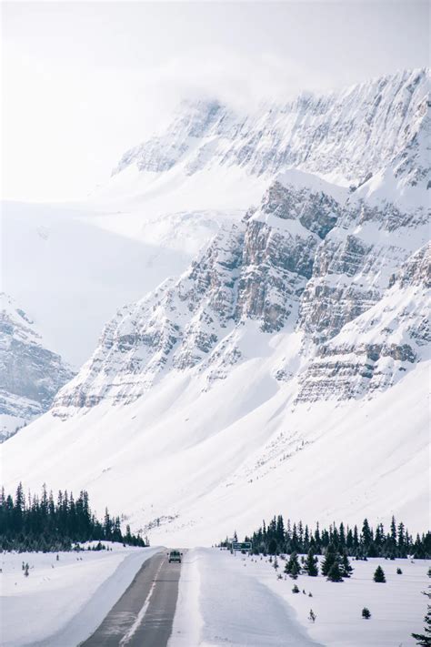Nature Images Download Free Images On Unsplash Winter Wallpaper